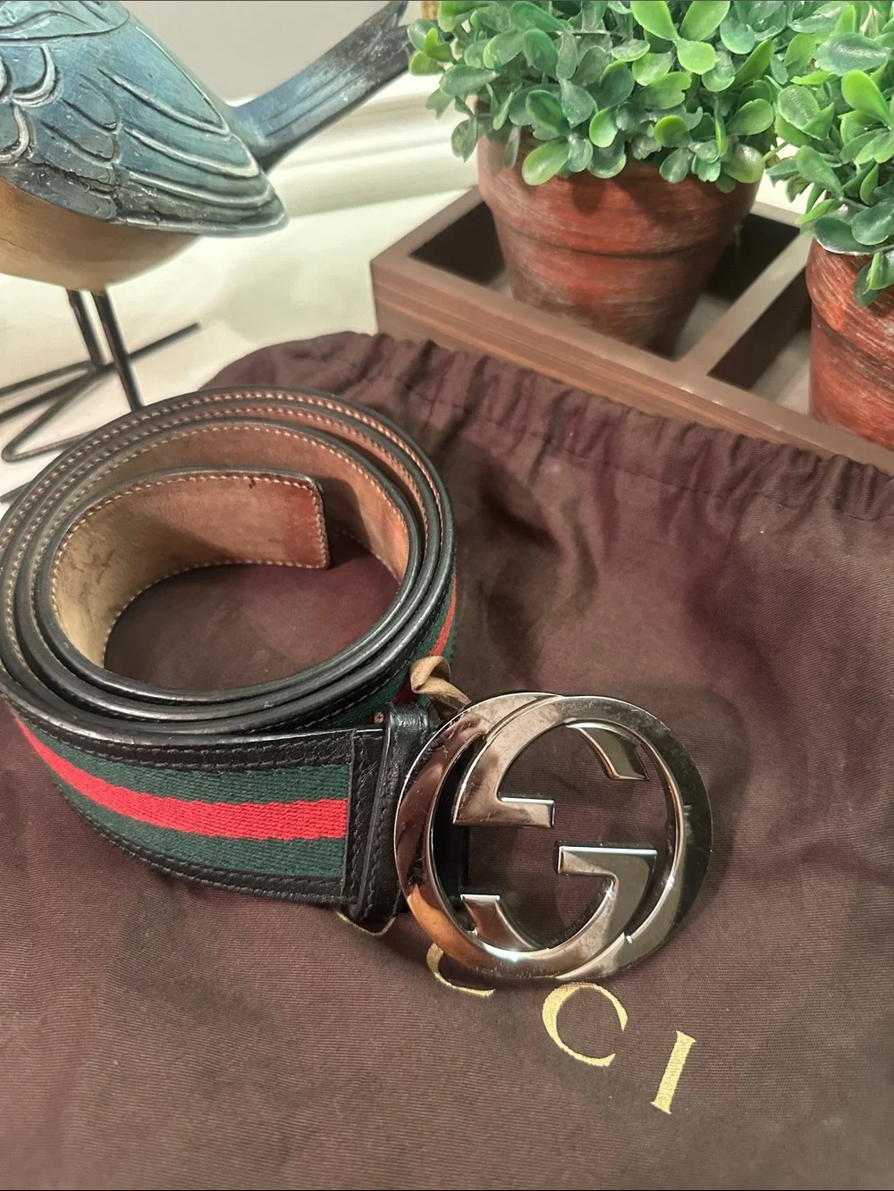 Gucci Belt Sherry Line 105.42